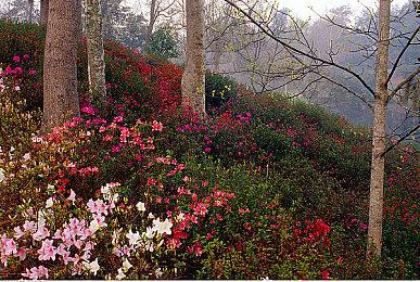 传《使命召唤19》将于2023年推出付费资料片